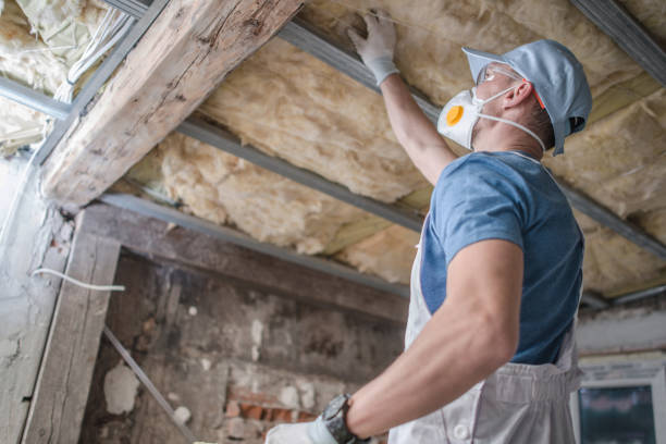 Professional Insulation Contractor in Kings Mountain, NC