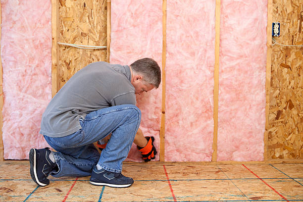 Best Specialized Insulation Services in Kings Mountain, NC